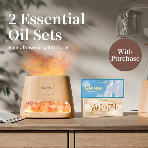 The Mist — Himalayan Salt Lamp & Aroma Diffuser